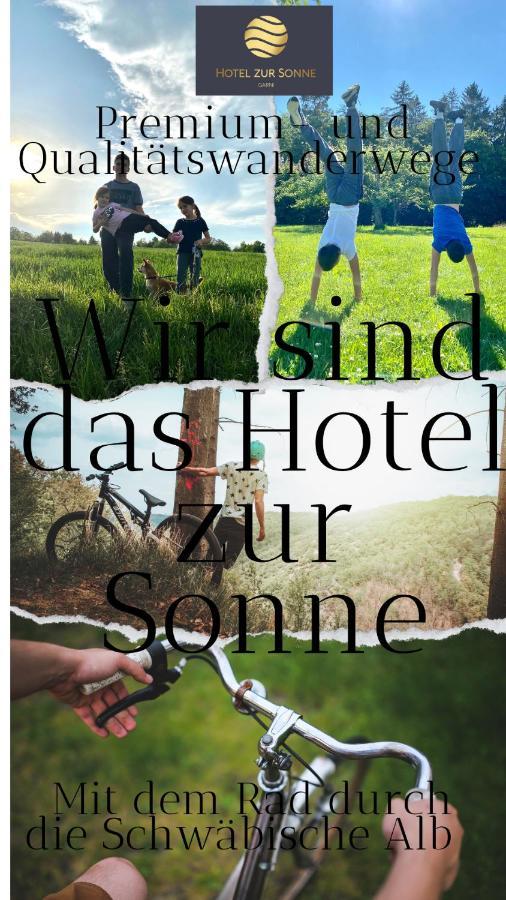 Hotel Zur Sonne Bodelshausen エクステリア 写真